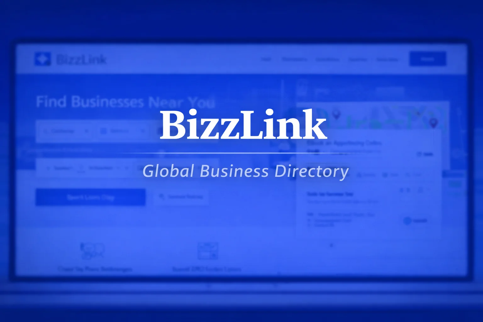 BizzLink